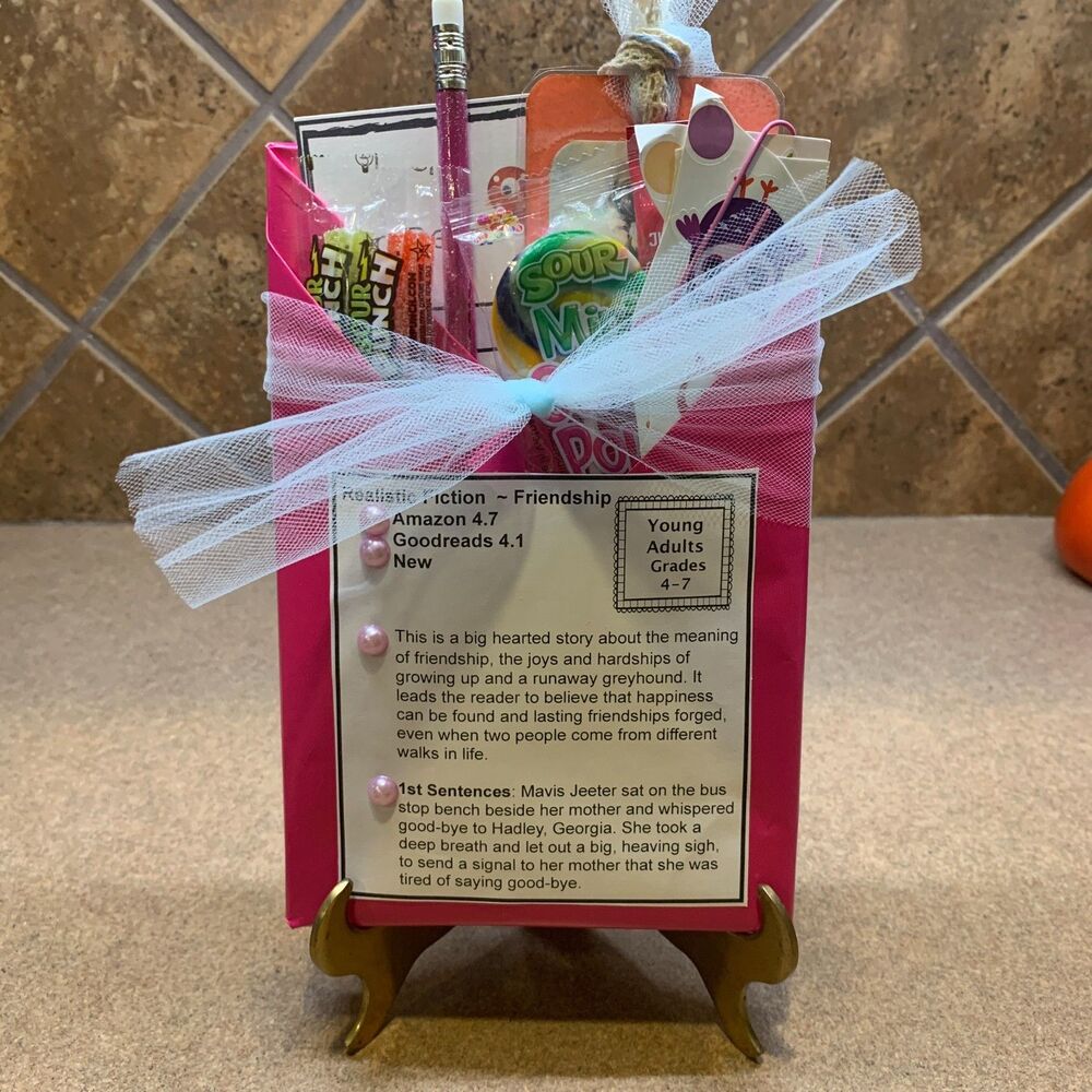 Blind Date With A Book KIDS FICTION Young Girls' Friendship Runaway Dog Novel